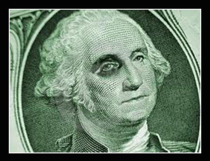 WASHINGTONBLACKEYE.jpg