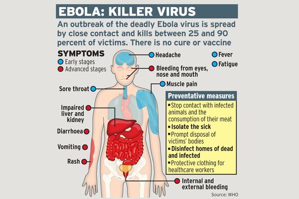 ebola-graphic.jpg