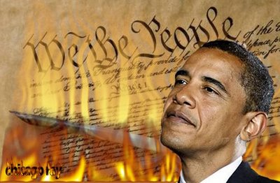 obama-burns-constitution.jpg