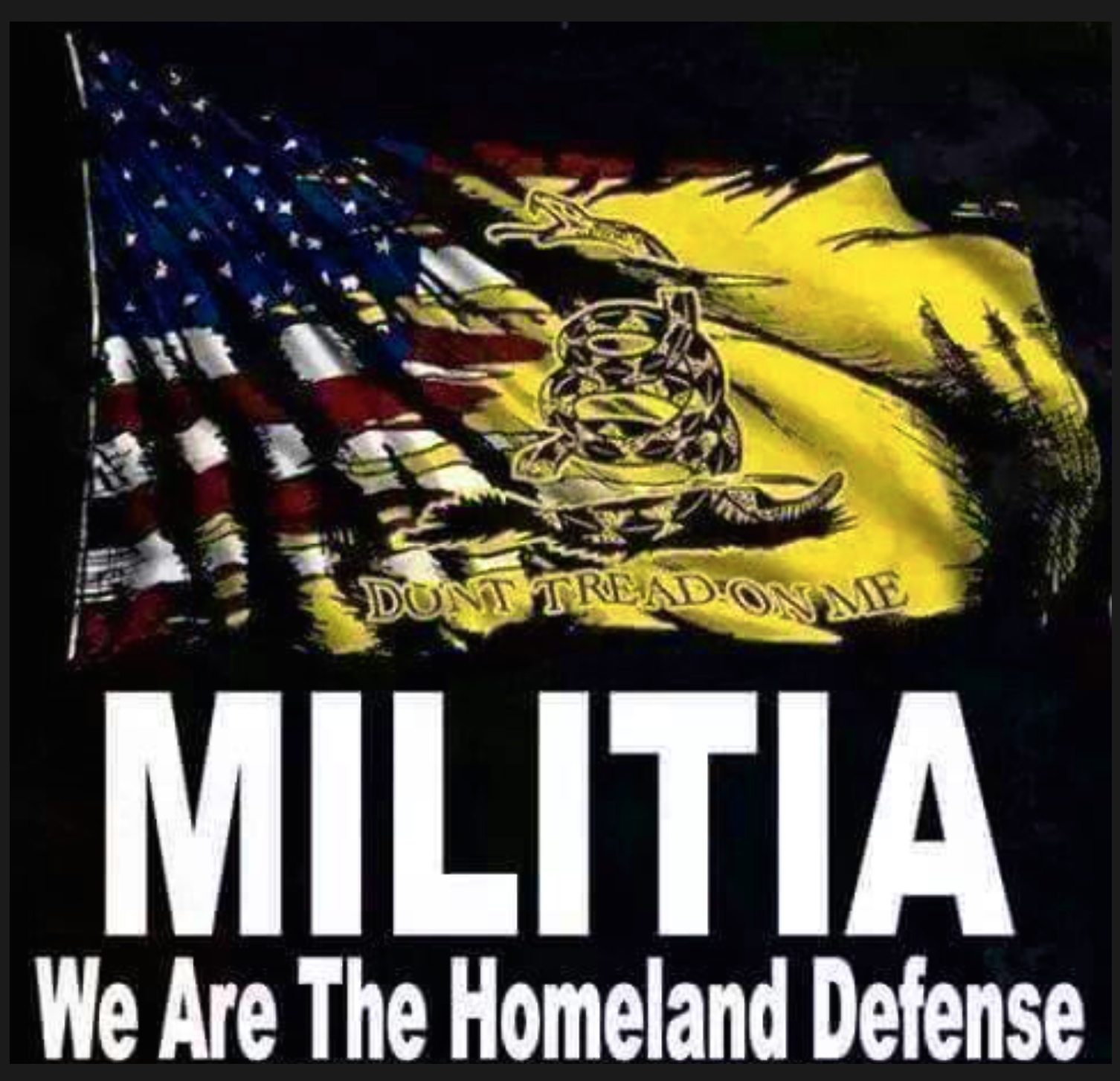 we-are-militia-tfernandez.png