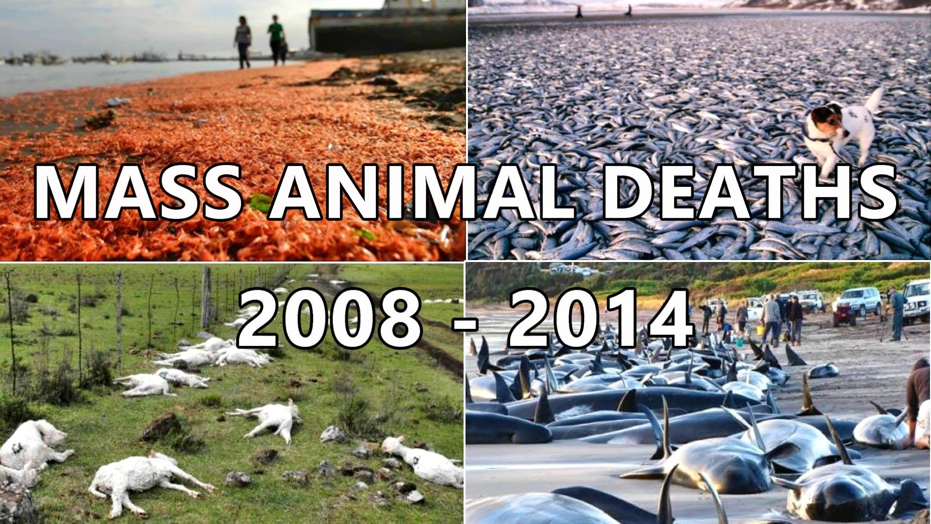 20082014.jpg