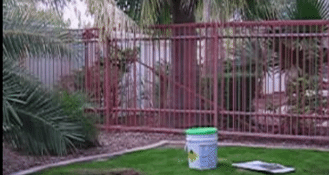 3ada2f46ac8a347d502acb69d00aa34c.gif