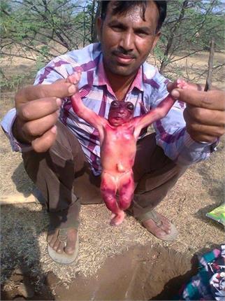 AlienHybridCreature.jpg