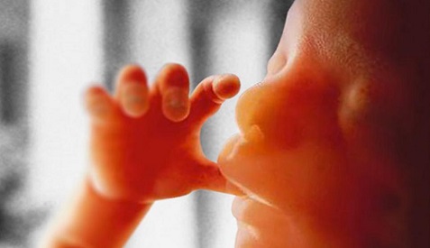 Baby123.jpg
