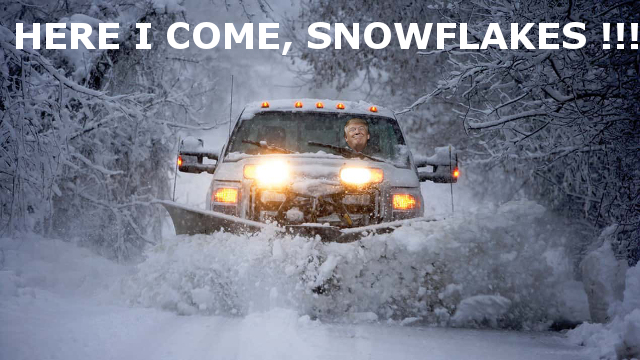 HEREICOMESNOWFLAKES1.jpg