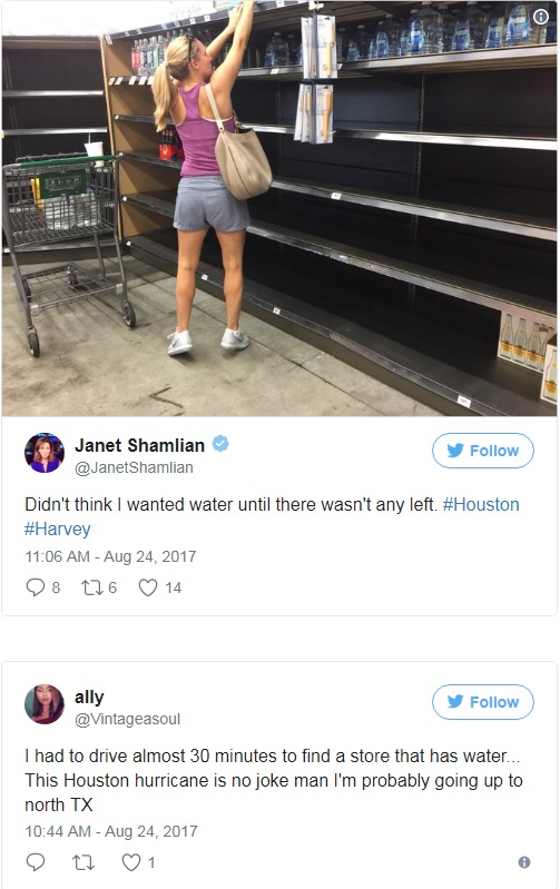 Harveystoreshelvesempty1.jpg