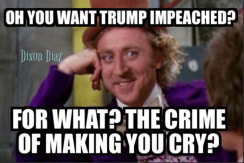 ImpeachDemscrying1.JPG