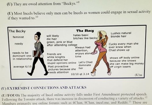 InCelAFBriefing2.jpg