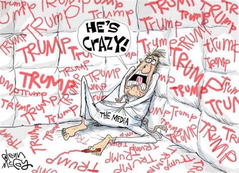 MediaTDS234.jpg
