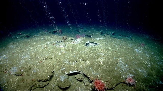 Methane2.jpg