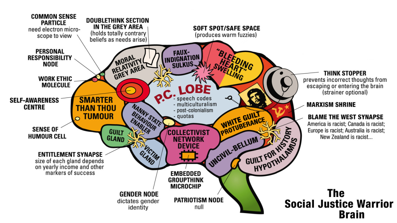 SJWBRAIN3.jpg