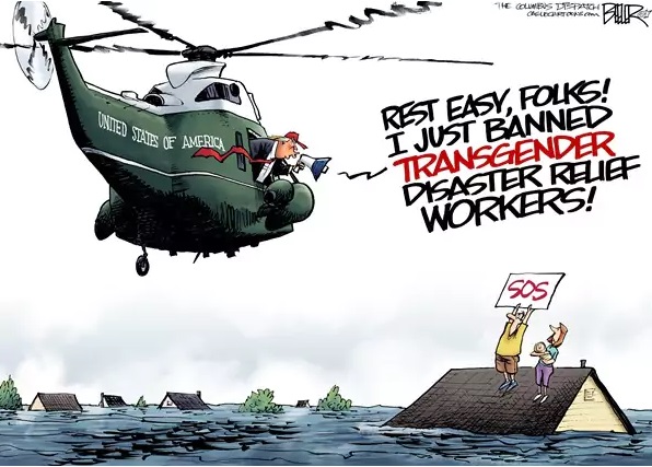 TexasCartoon2.jpg
