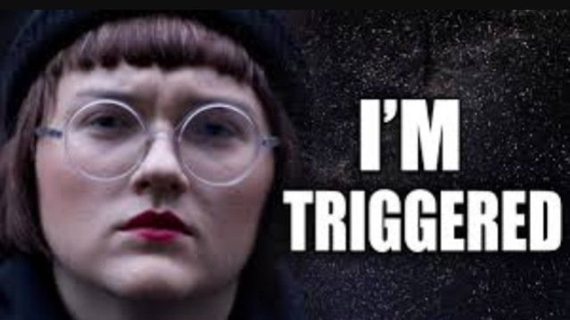TriggeredSJWs7.jpg