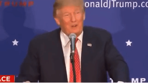 TrumpLaughsAtDemocrats.gif