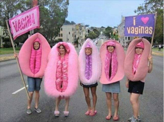 VaginaCostumeIdiocy5.png