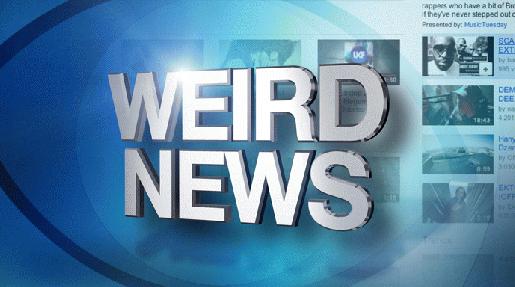 Weird-News.jpg