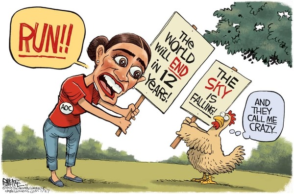 aoc_nuts.jpg