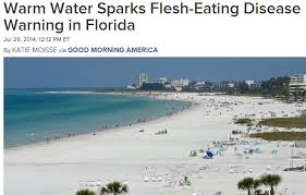 beachscene.jpg