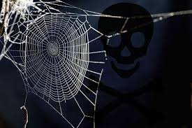 blackdeathweb.jpeg