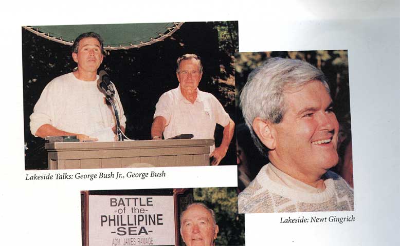 bushes.jpg