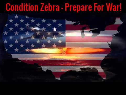 condition_zebra.jpg