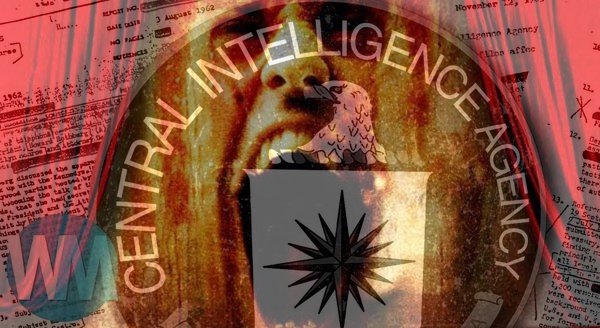 crazy_by_cia.jpg