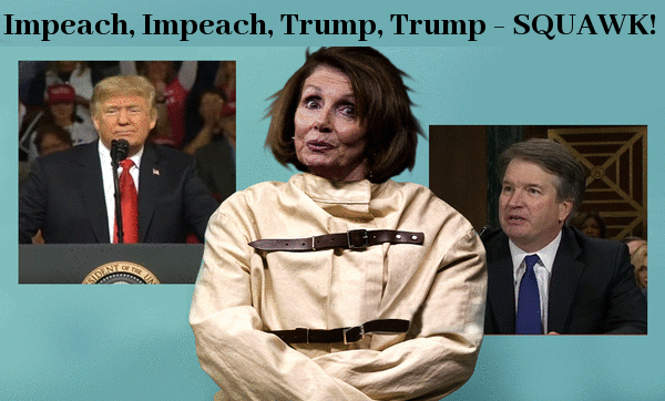 crazy_nancy_squawk.gif