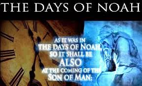 daysofnoah2.jpg
