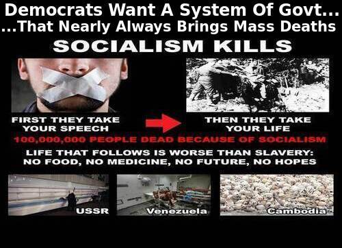 death_via_socialism_di.jpg