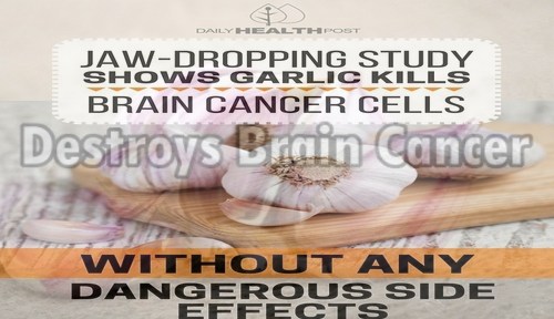 destroys_brain_cancer.jpg