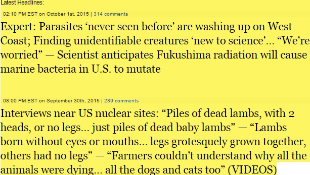 fukud.jpg
