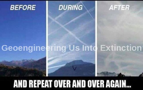 geointo_extinction.jpg