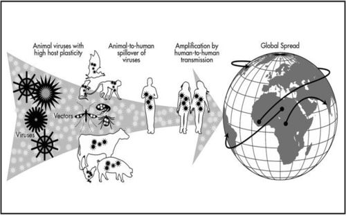 global_pandemic_spread.jpg