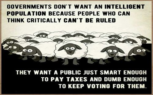 govt_loves_sheep.jpg