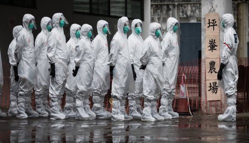 h7n9_pandemic.jpg