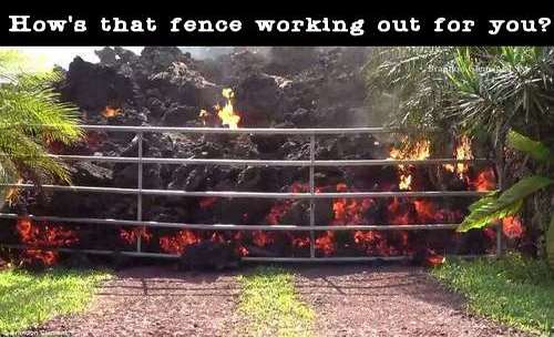 hows_that_fence.jpg