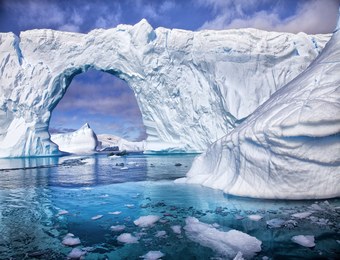 ice_bridge_ant.jpg