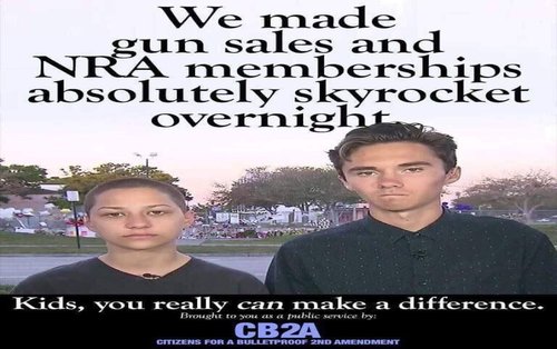idiot_hogg_sells_guns.jpg