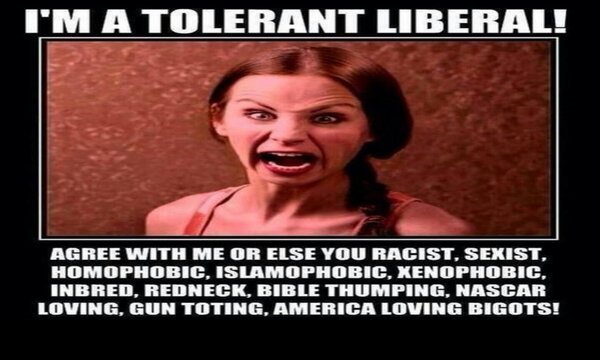 insane_libs.jpg