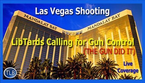 libs_call_for_gun_control_lvm.jpg