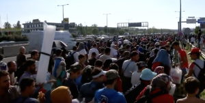mass-migration3.png