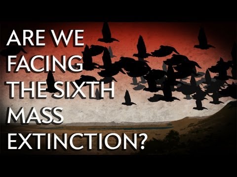 massextinctionevent.jpg