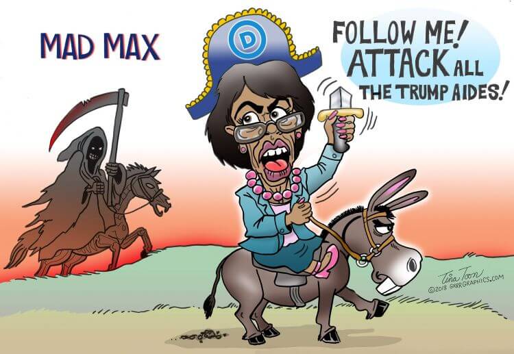 maxine_waters_insane.jpg