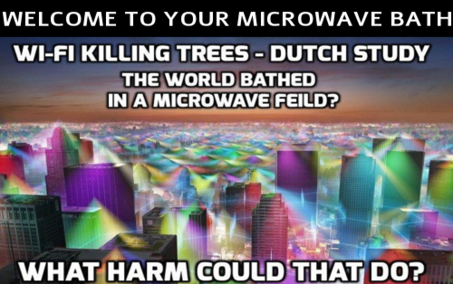 microwave_bath.png