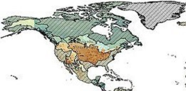 mid_america.jpg
