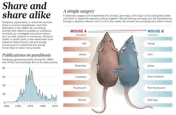 mouse_blood_study.jpg