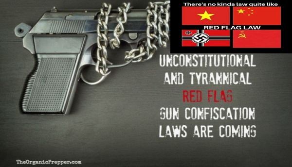 no_law_like_red_flag_law.jpg