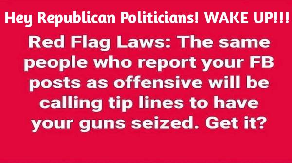 red_flag_gun_laws.jpg