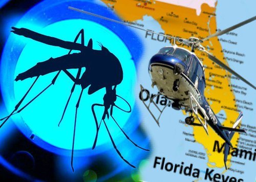 release_in_florida.jpeg