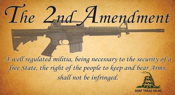 shall_not_be_infringed.jpg